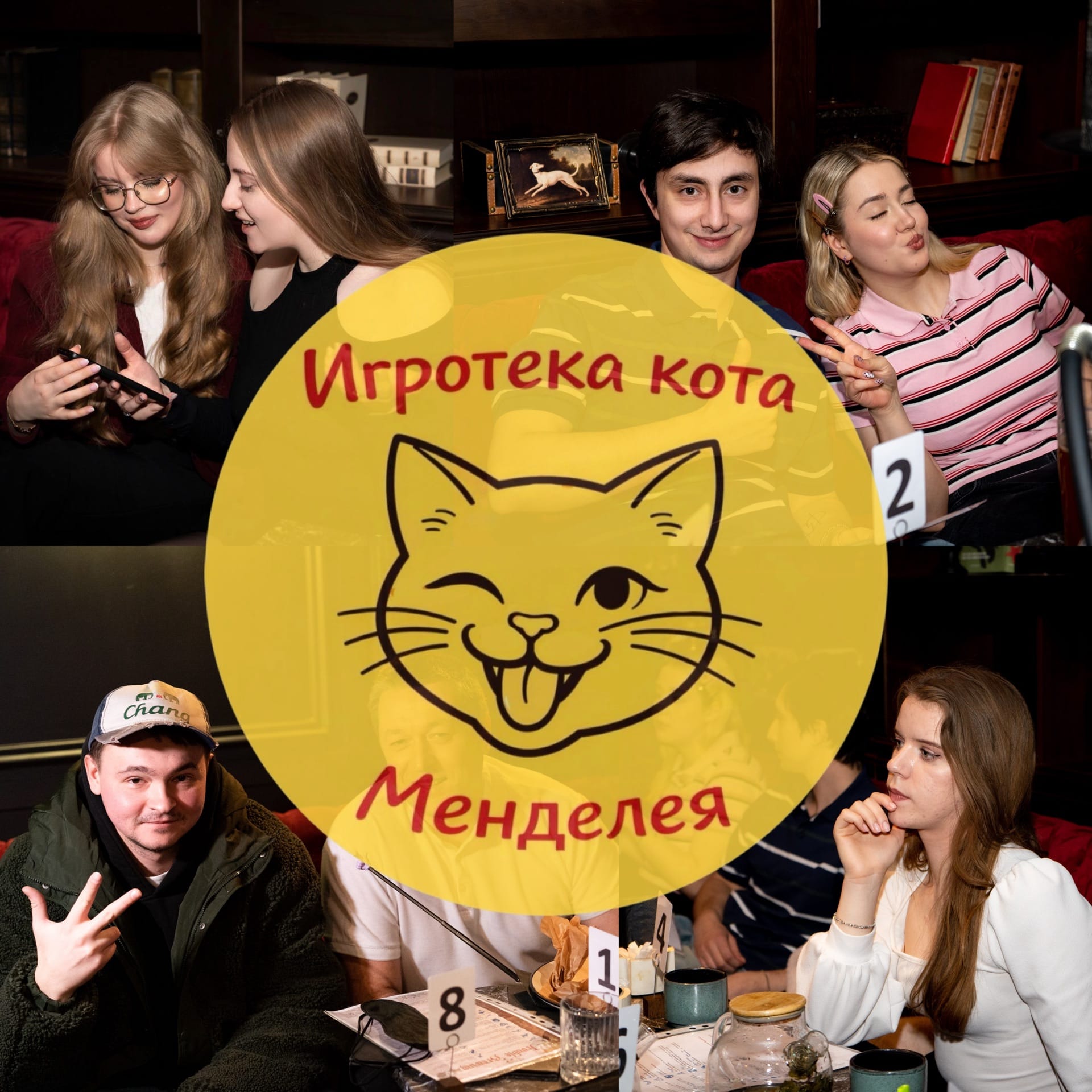 Игротека кота Менделея — фото 5